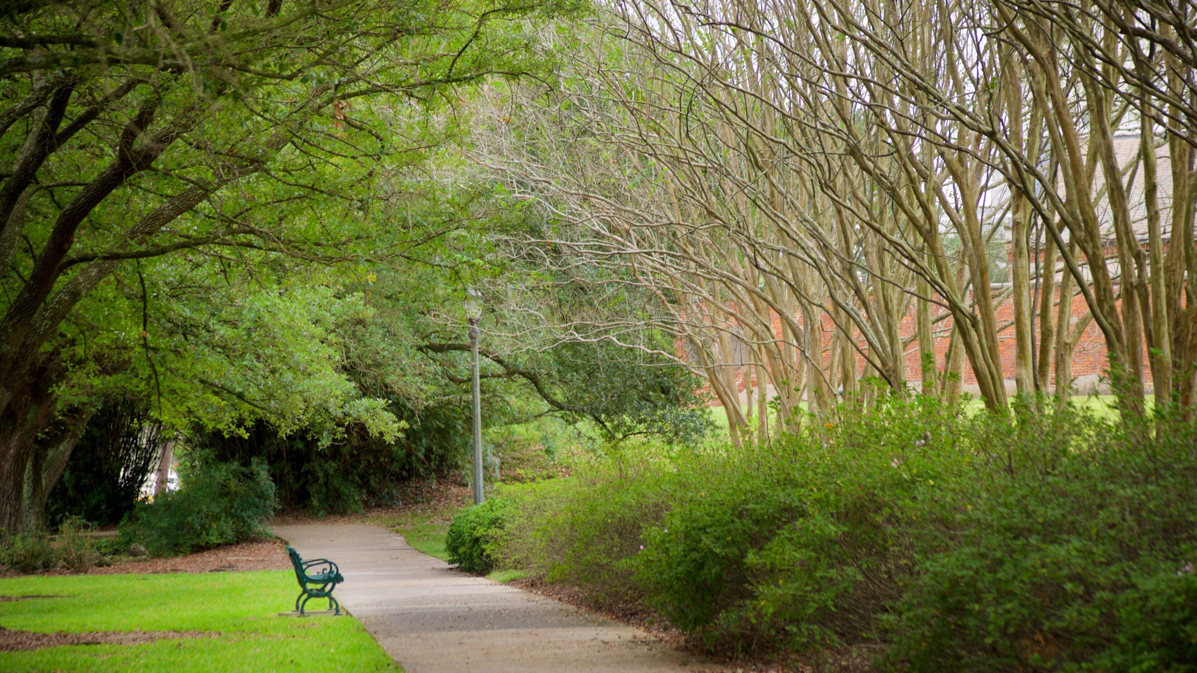 Arsenal Park showing a garden