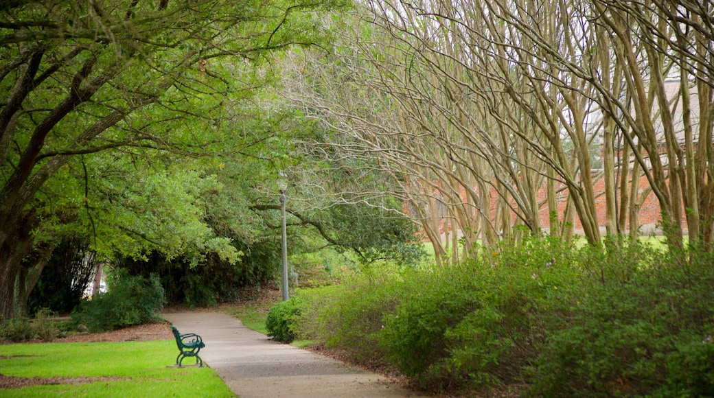 Arsenal Park fasiliteter samt park