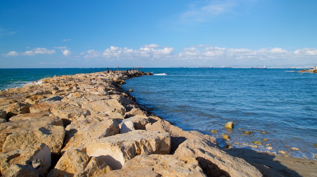 拜特加利姆海灘