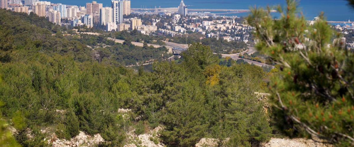 Mount Carmel featuring a coastal town, general coastal views and landscape views