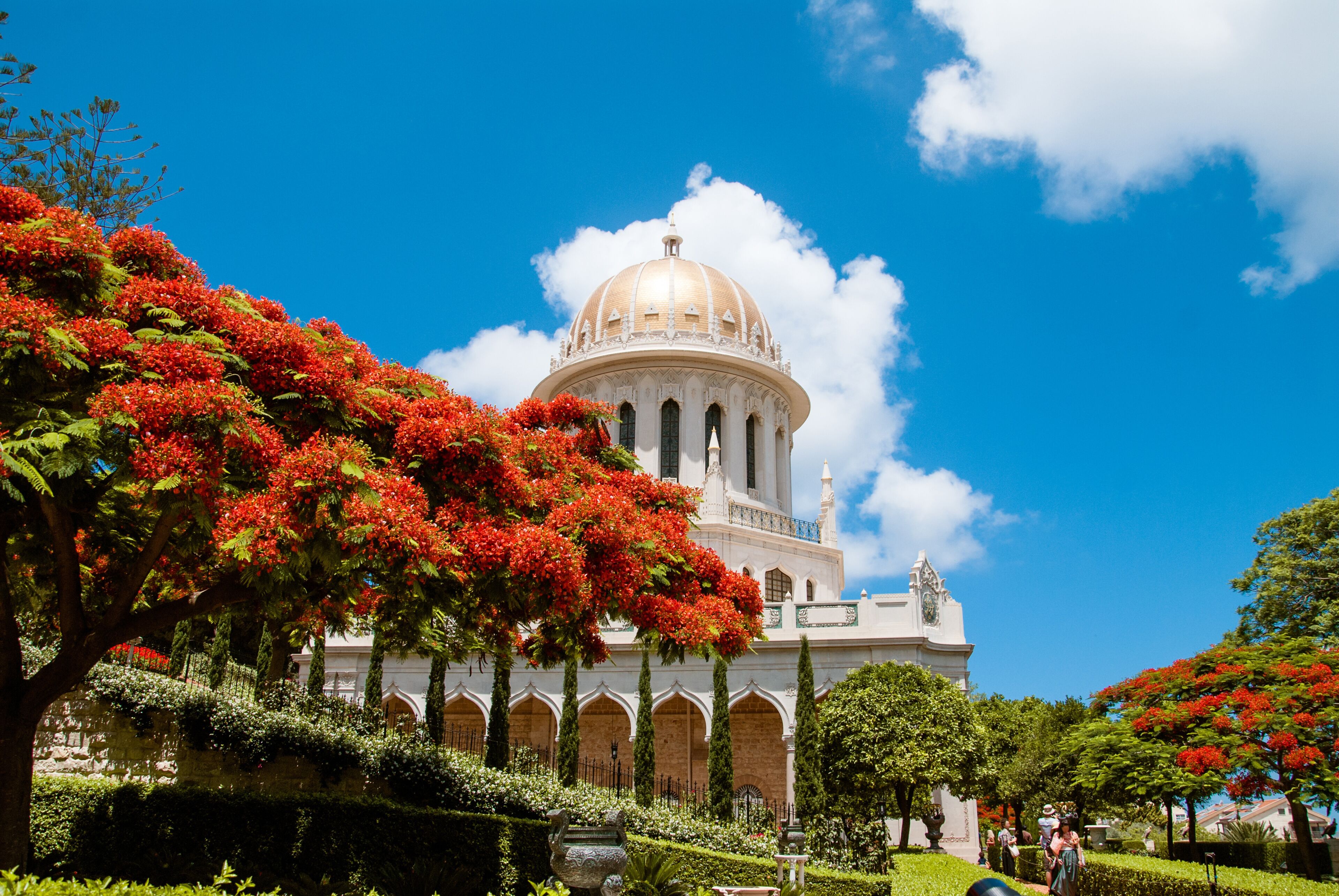 Mount Carmel