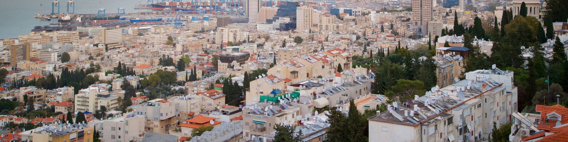 Sculpture Garden which includes a city and landscape views