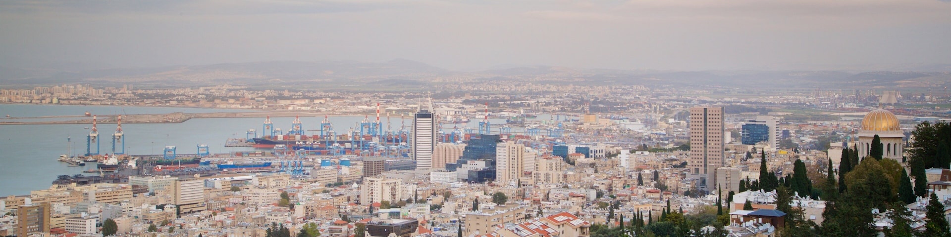 Sculpture Garden which includes a city and landscape views