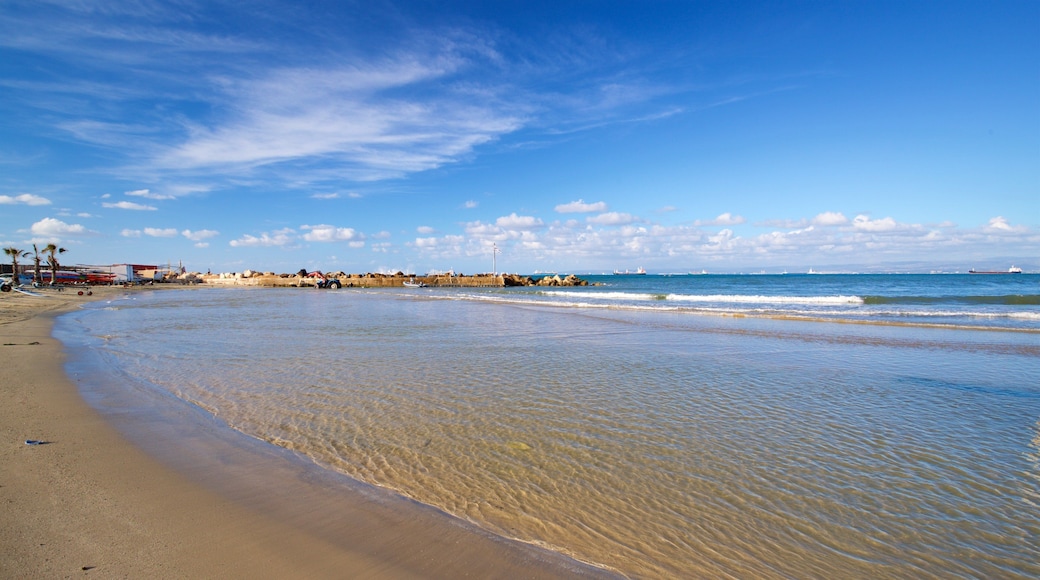 Quiet Beach which includes general coastal views and a sandy beach
