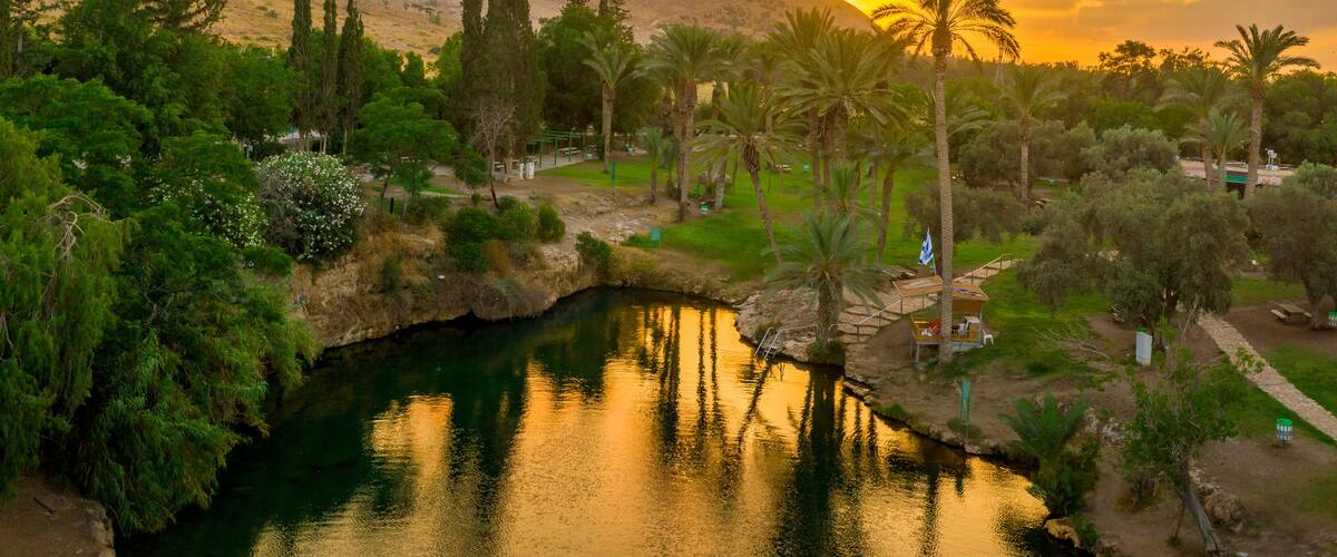 A serene landscape with a river, palm trees, and a hill during sunset.