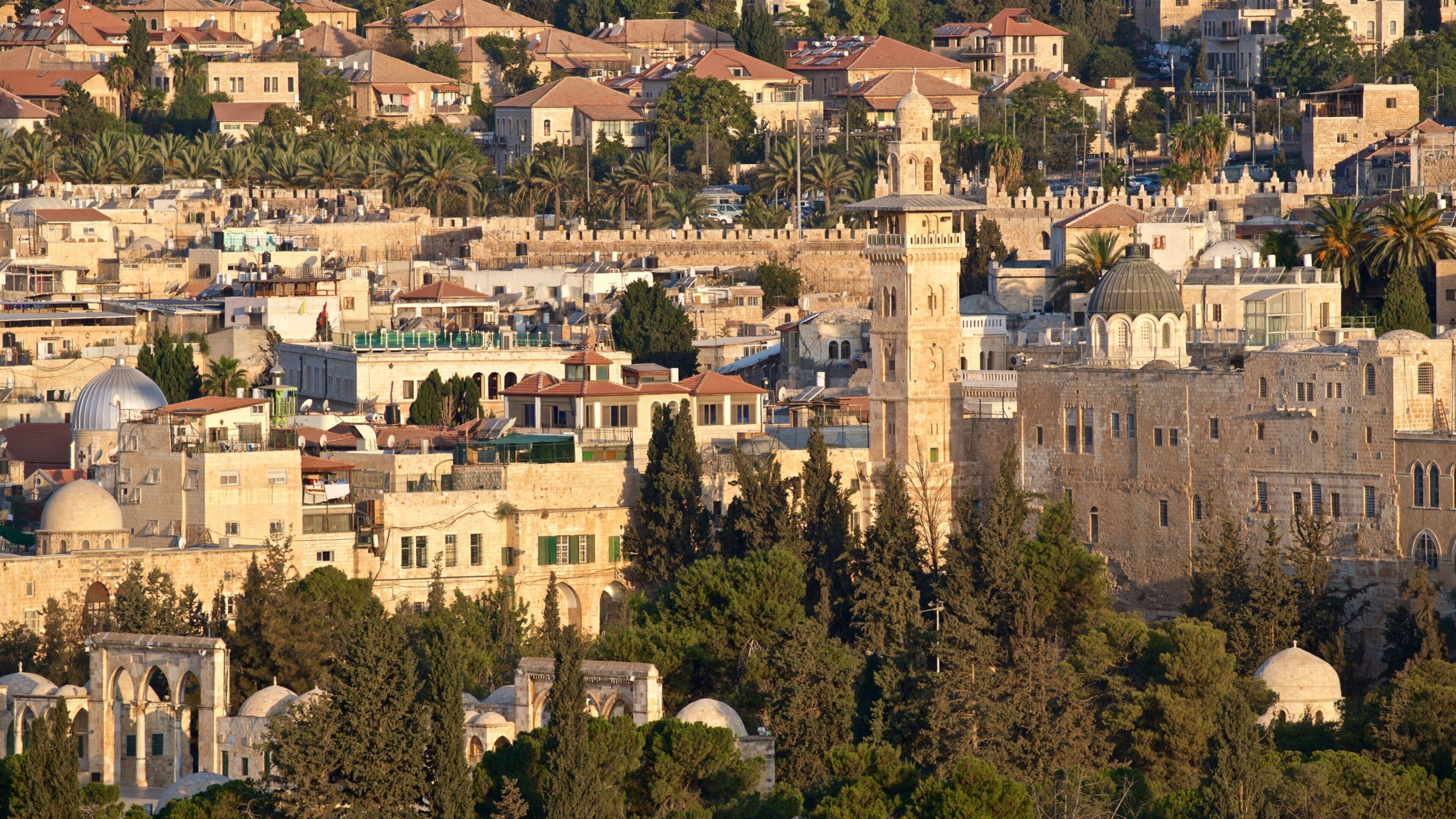 Monte degli ulivi caratteristiche di vista del paesaggio e città