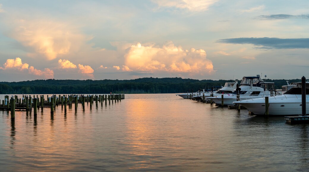 Fort Washington Marina