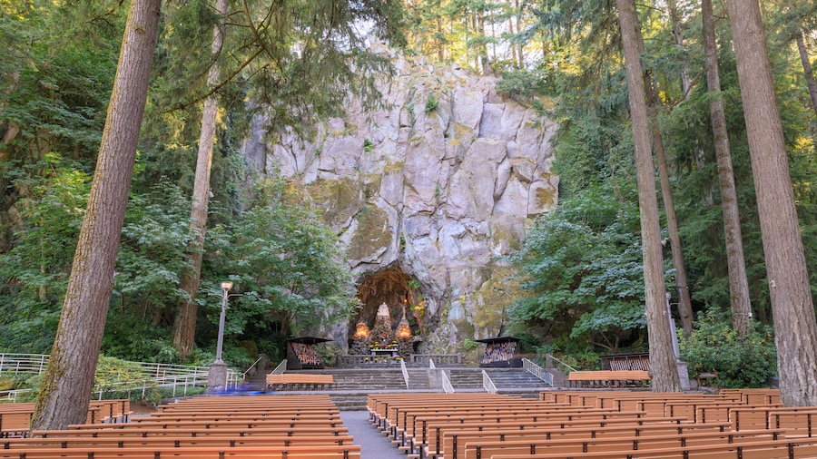 The Grotto, is a Catholic outdoor shrine and sanctuary located in the Madison South district of Portland, Oregon, United States
