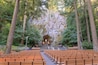 The Grotto