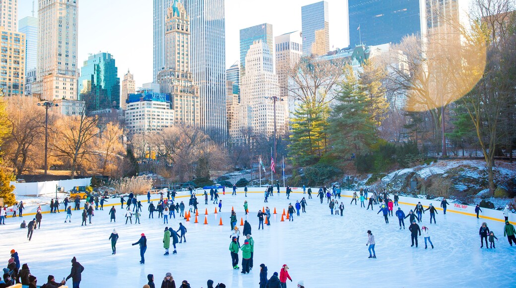 Ice skaters having fun in New York Central Park in winter