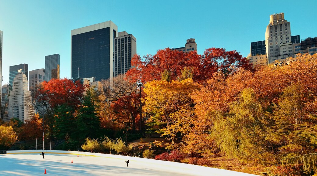 Condado de Nueva York