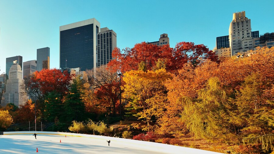 Central Park Autumn