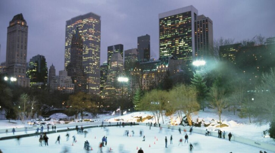 Pista de Gel Wollman