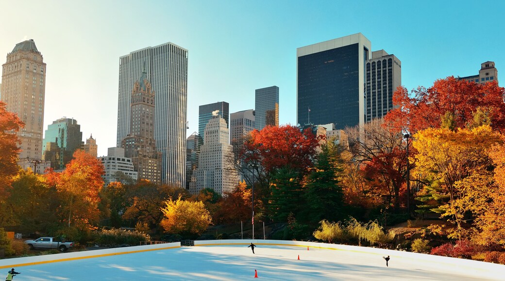 Central Park Autumn