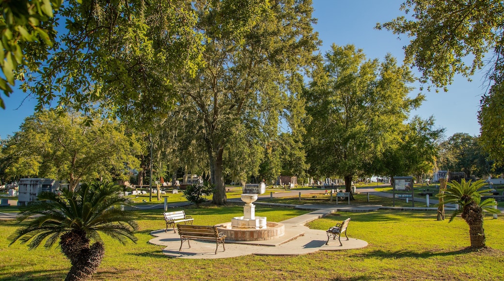 Biloxi City Cemetery showing a park