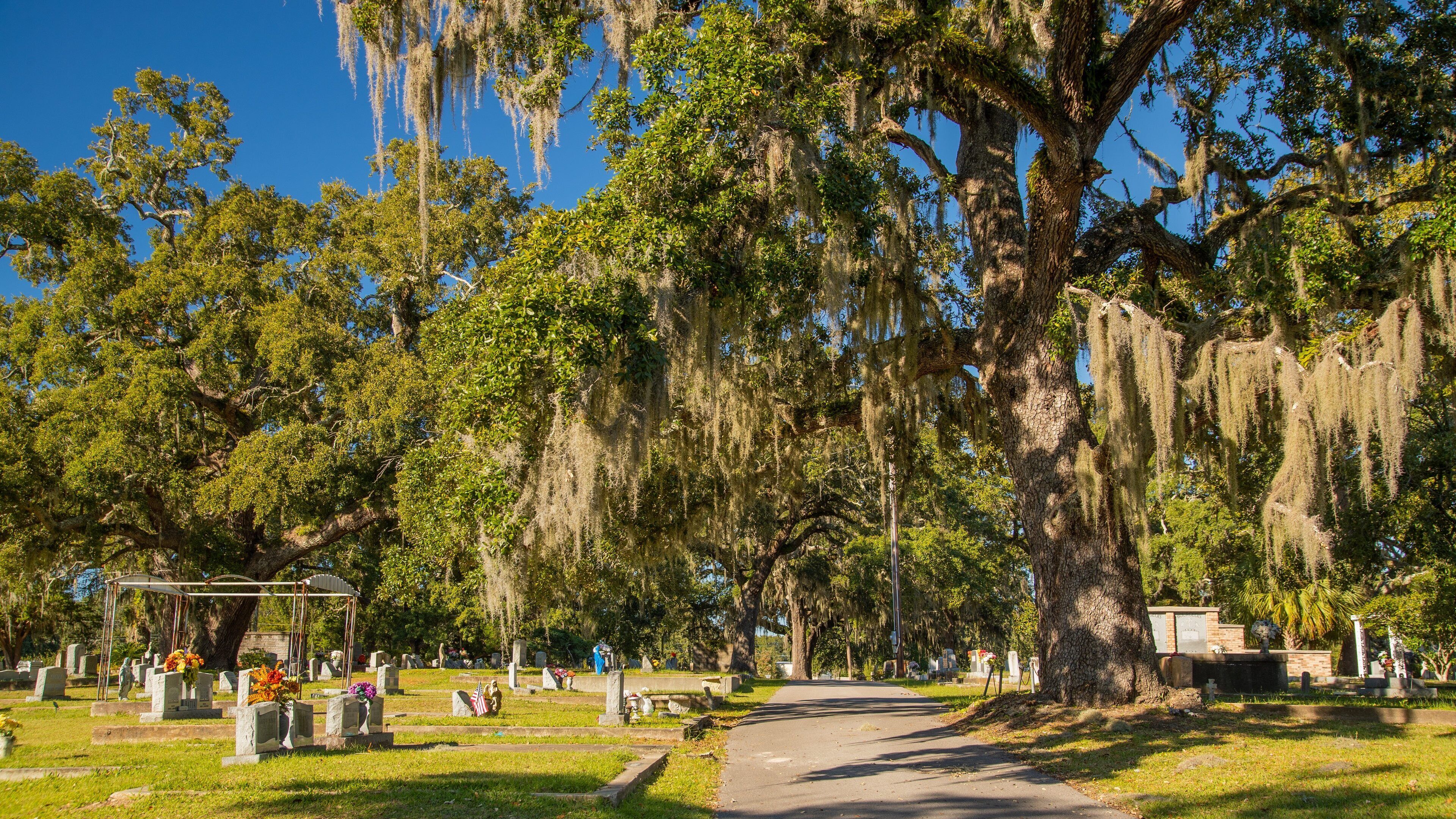 Biloxi City Cemetery showing a cemetery
