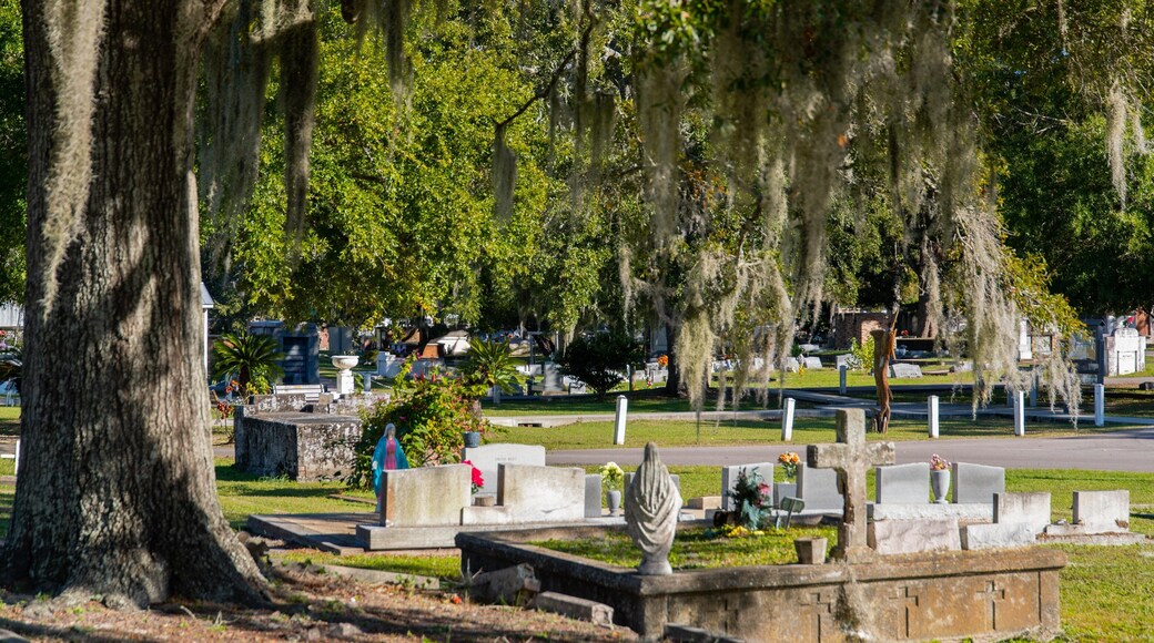 Biloxi City Cemetery featuring a cemetery