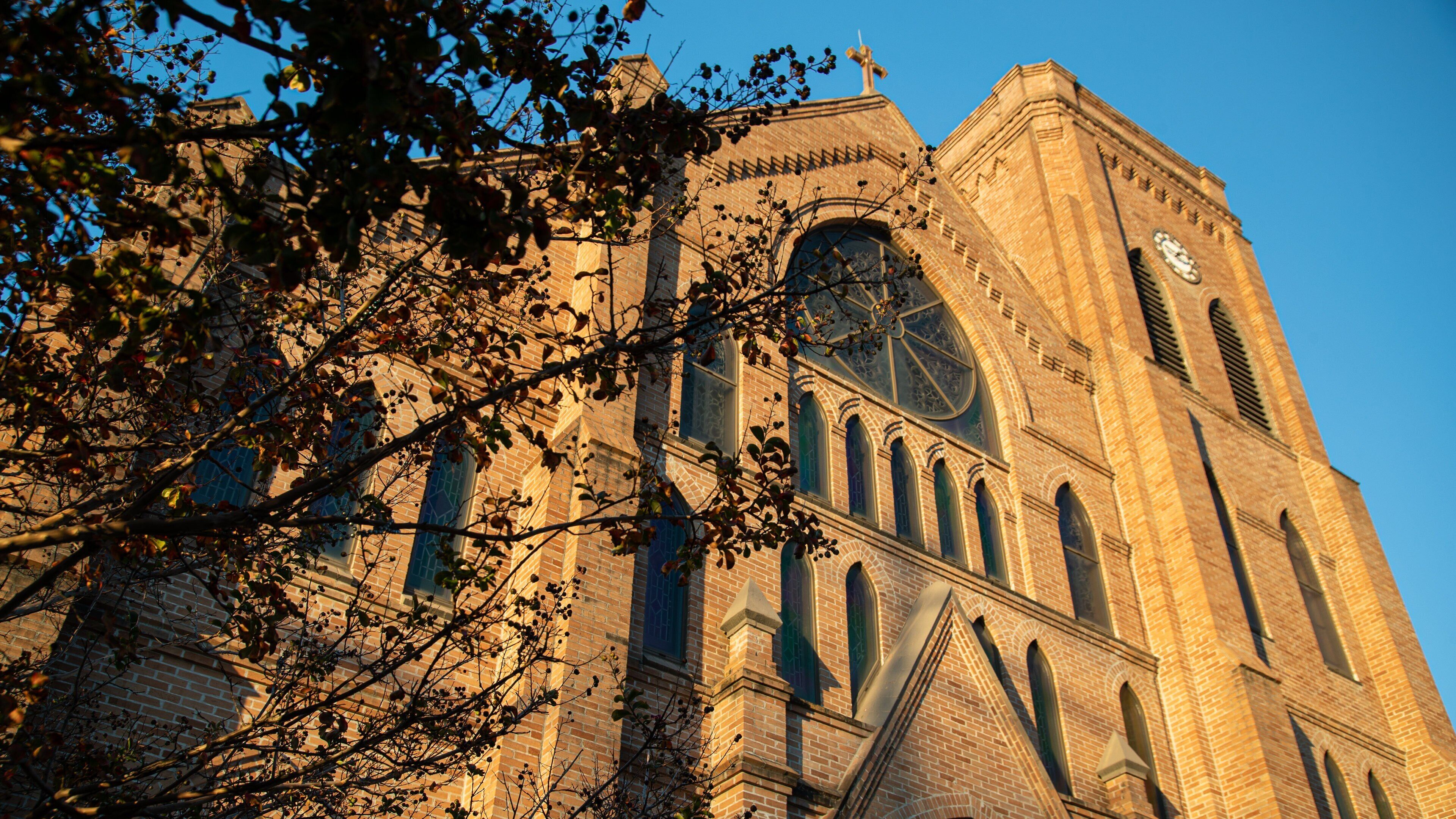 Cathedral of the Nativity of the Blessed Virgin Mary showing a church or cathedral and heritage architecture