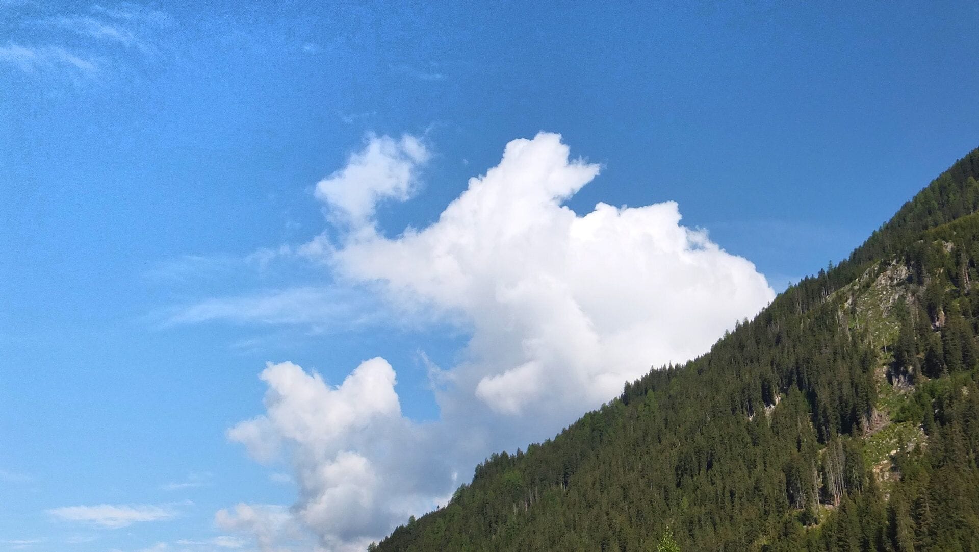 When dreams came true #blue sky white elephant