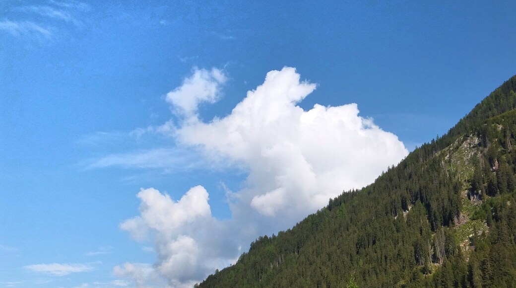 When dreams came true #blue sky white elephant