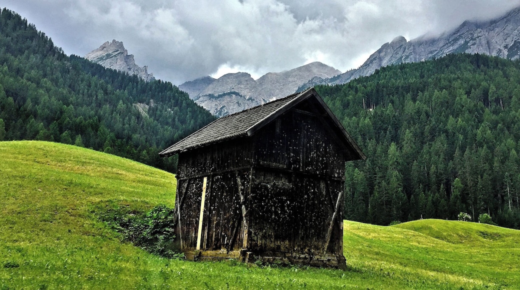 Along the way from Villabasa to Lago Braies, is a teasing scenery of attention-grabbing mountains and greens. The weather was a bit rainy when I went but it created a mystic feeling of awe. I took this photo from the moving bus. The hut was an appealing accent to the magnificent nature.
If this hut/cabin would be sold for 200Euro, including taxes, I'd buy and live with no complaint in this (barely) 5sqr foot property!! I wonder where to poop...?
#tinyhomes