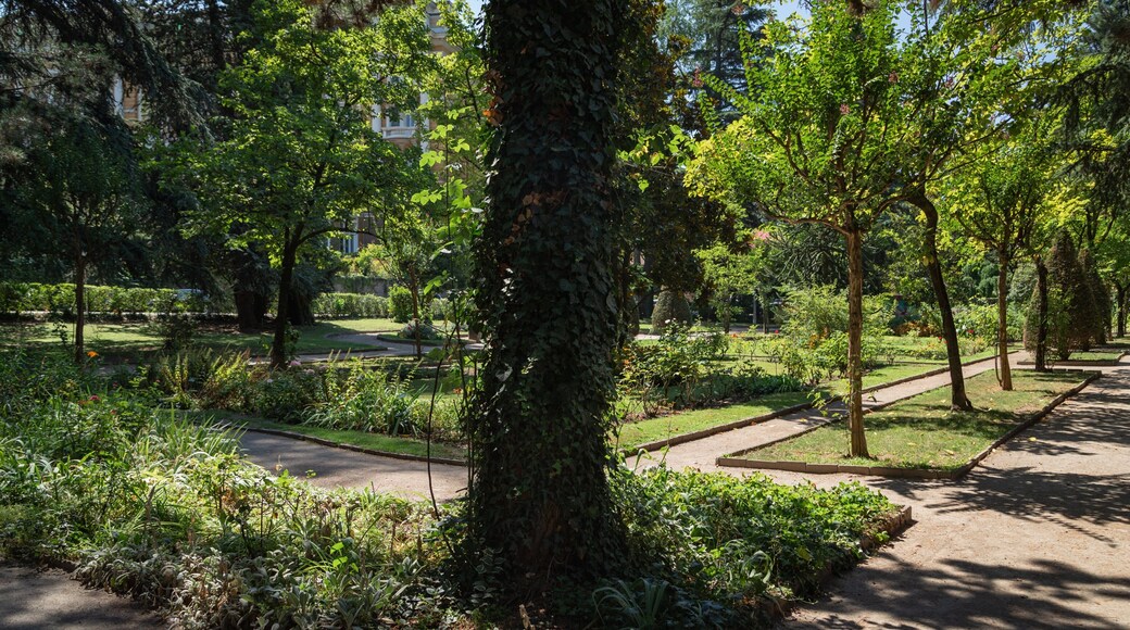 Elisabeth Park featuring a garden