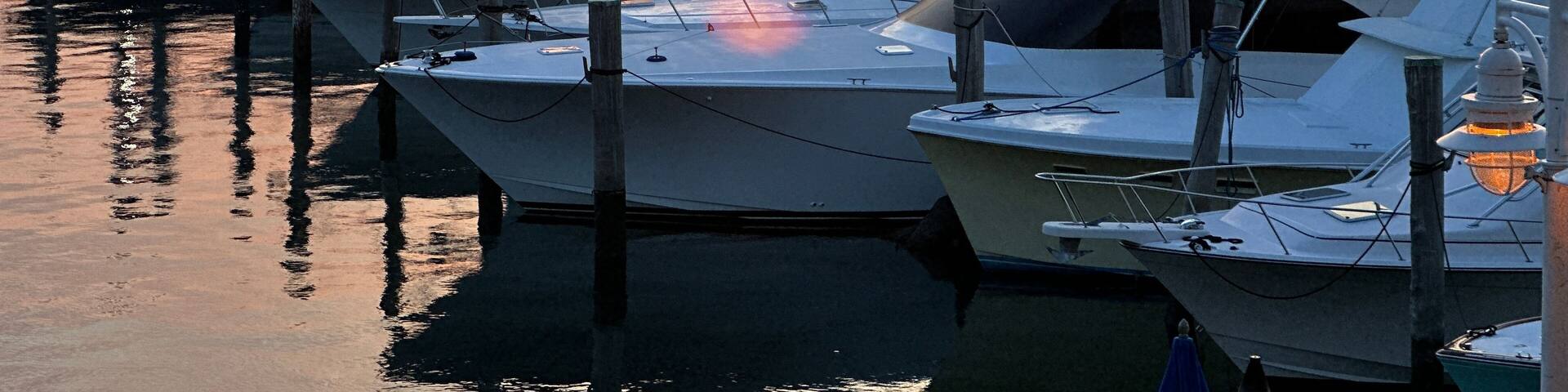 singer island florida sis fish marina palm beach shours florida sail fish marina and docks