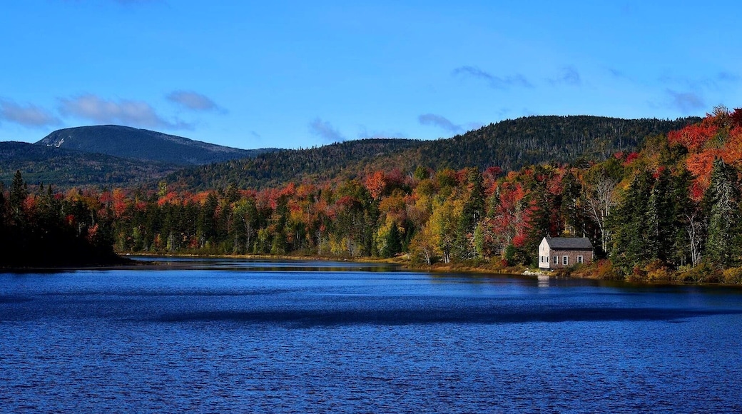 Beaver Pond in Letter E Township Maine on Rt 16 to Oquossoc