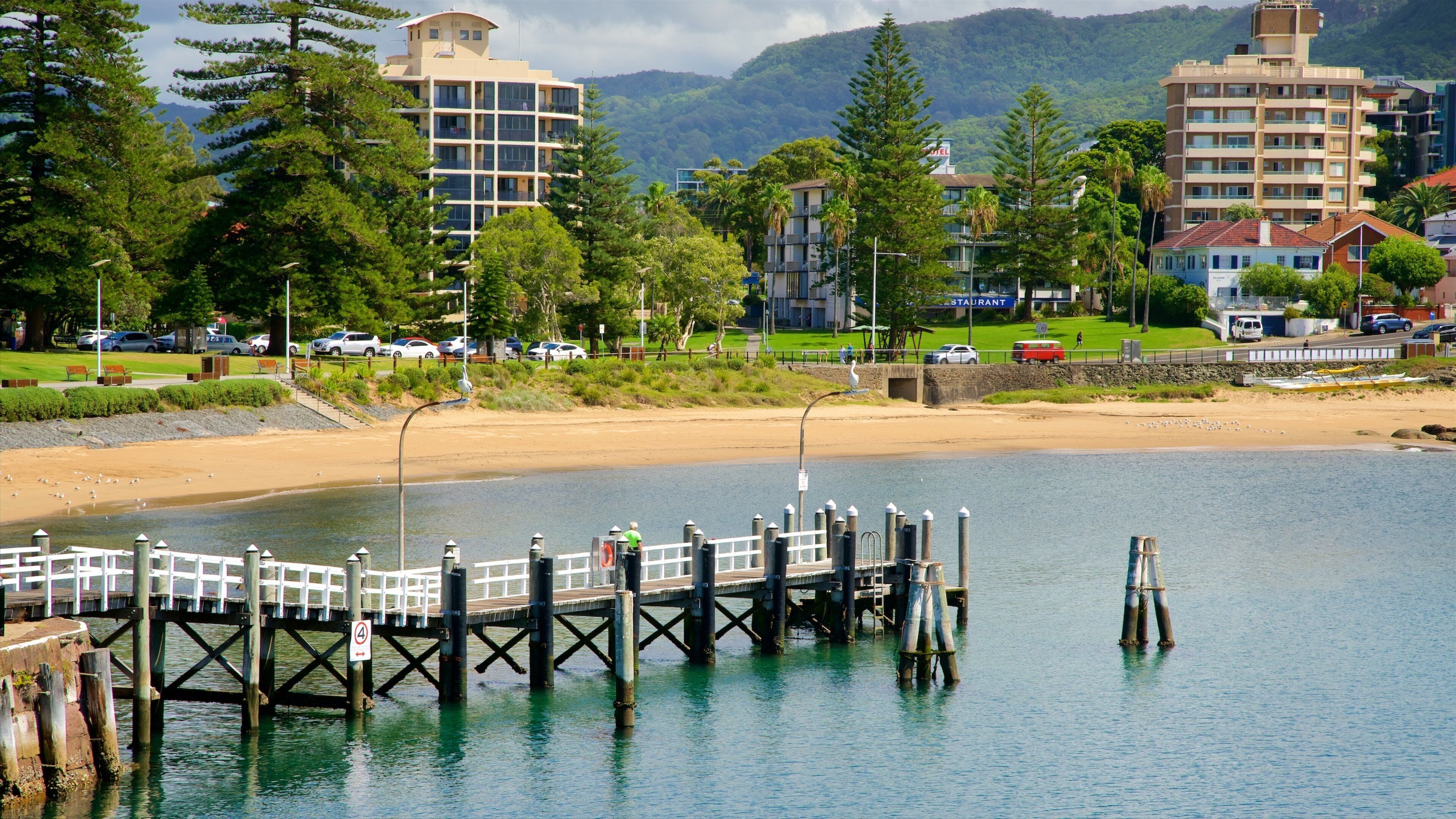 Wollongong caracterizando uma praia, uma baía ou porto e uma cidade litorânea