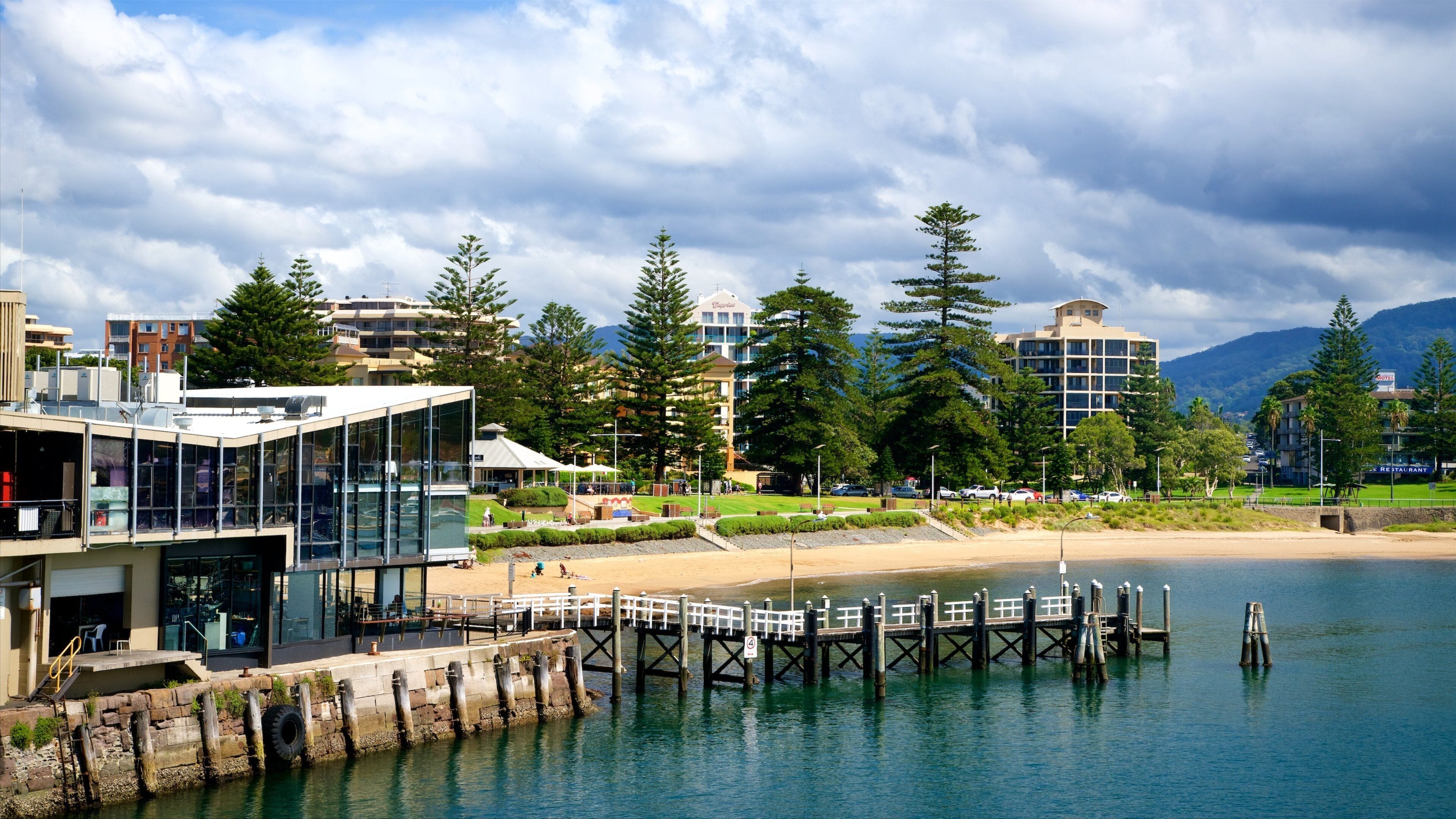 Wollongong showing a beach and general coastal views