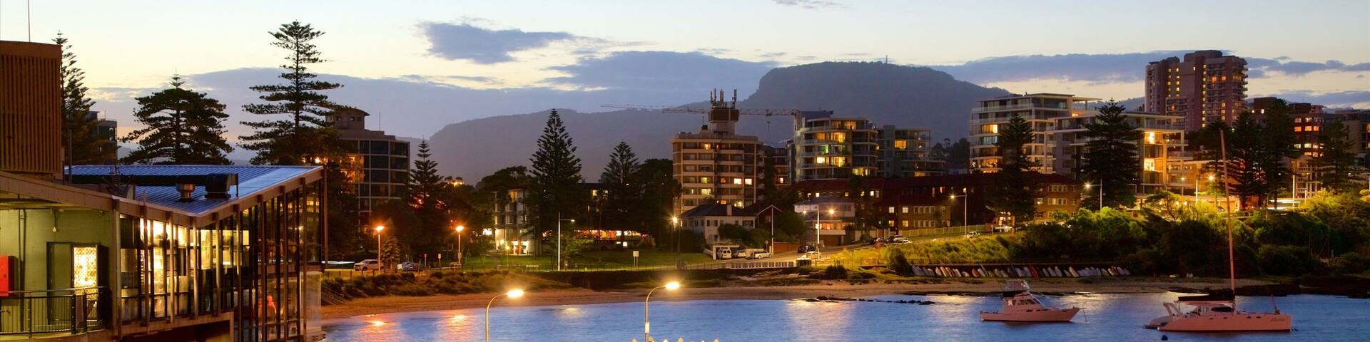 Wollongong montrant ville, plage de sable et navigation