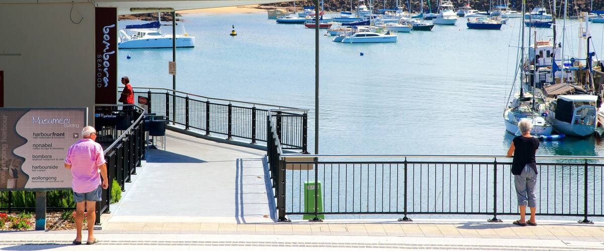 Wollongong showing a marina, a coastal town and signage