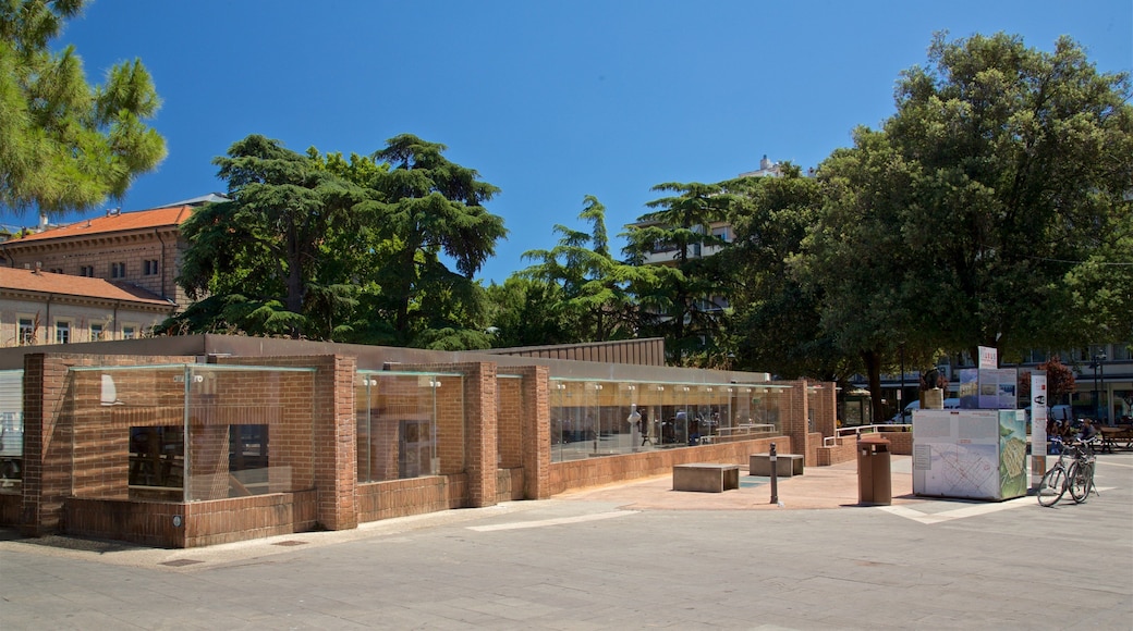 The Surgeon\'s House