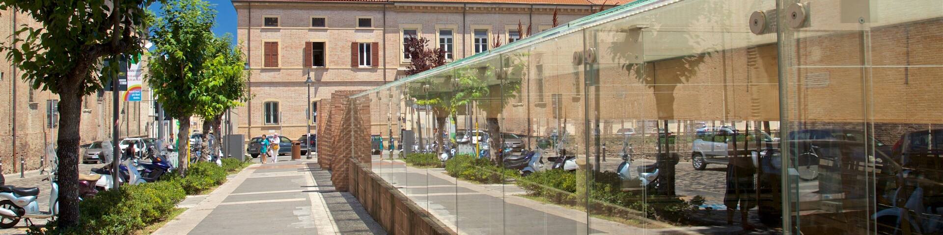 The Surgeon\'s House