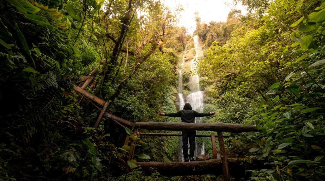 Persona Puente Cascada Santa Rosa de Cabal Aguas Termales San Vicente Colombia