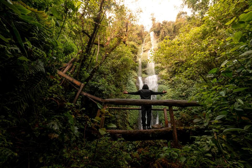 Una persona in piedi su un ponte di legno, con le braccia aperte, che guarda una cascata in una foresta verde e rigogliosa.