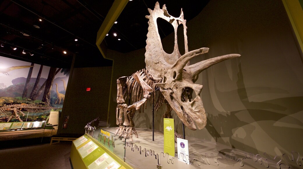 Sam Noble Oklahoma Museum of Natural History featuring heritage elements and interior views