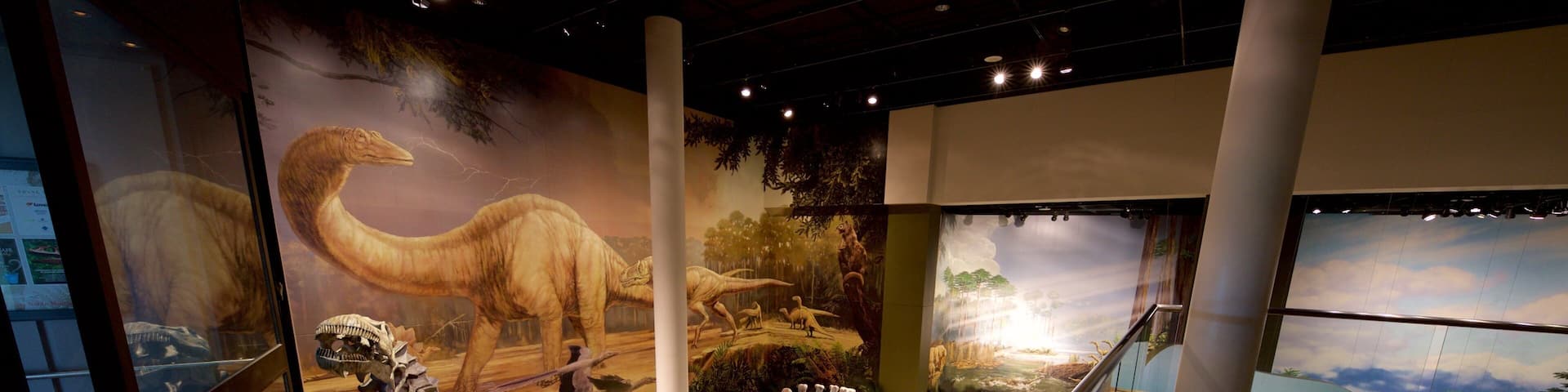 Sam Noble Oklahoma Museum of Natural History caratteristiche di vista interna