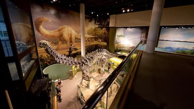 Une exposition sur les dinosaures comprenant un grand squelette et une fresque représentant un dinosaure dans une forêt.