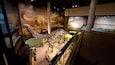 A dinosaur exhibit with a large skeleton and a mural of a dinosaur in a forest.