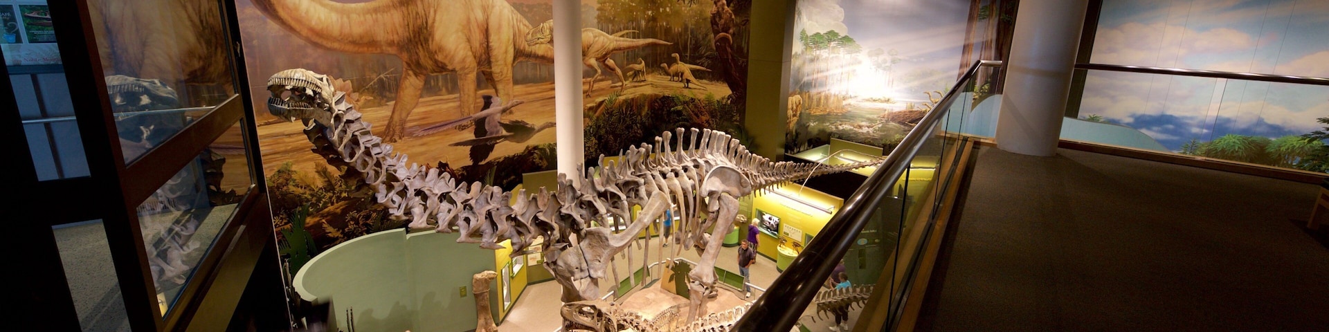 Sam Noble Oklahoma Museum of Natural History showing interior views