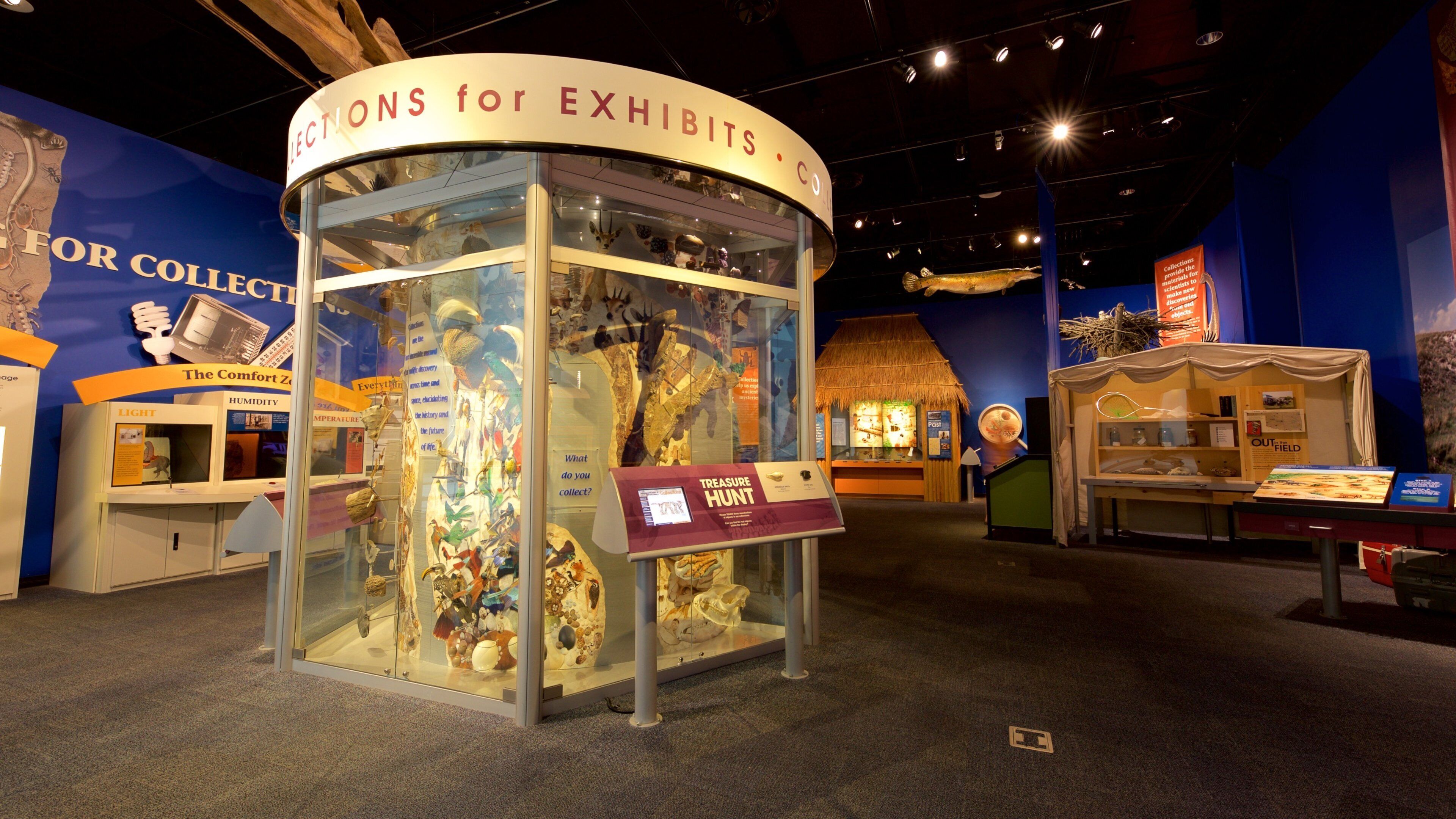 Sam Noble Oklahoma Museum of Natural History som viser interiør