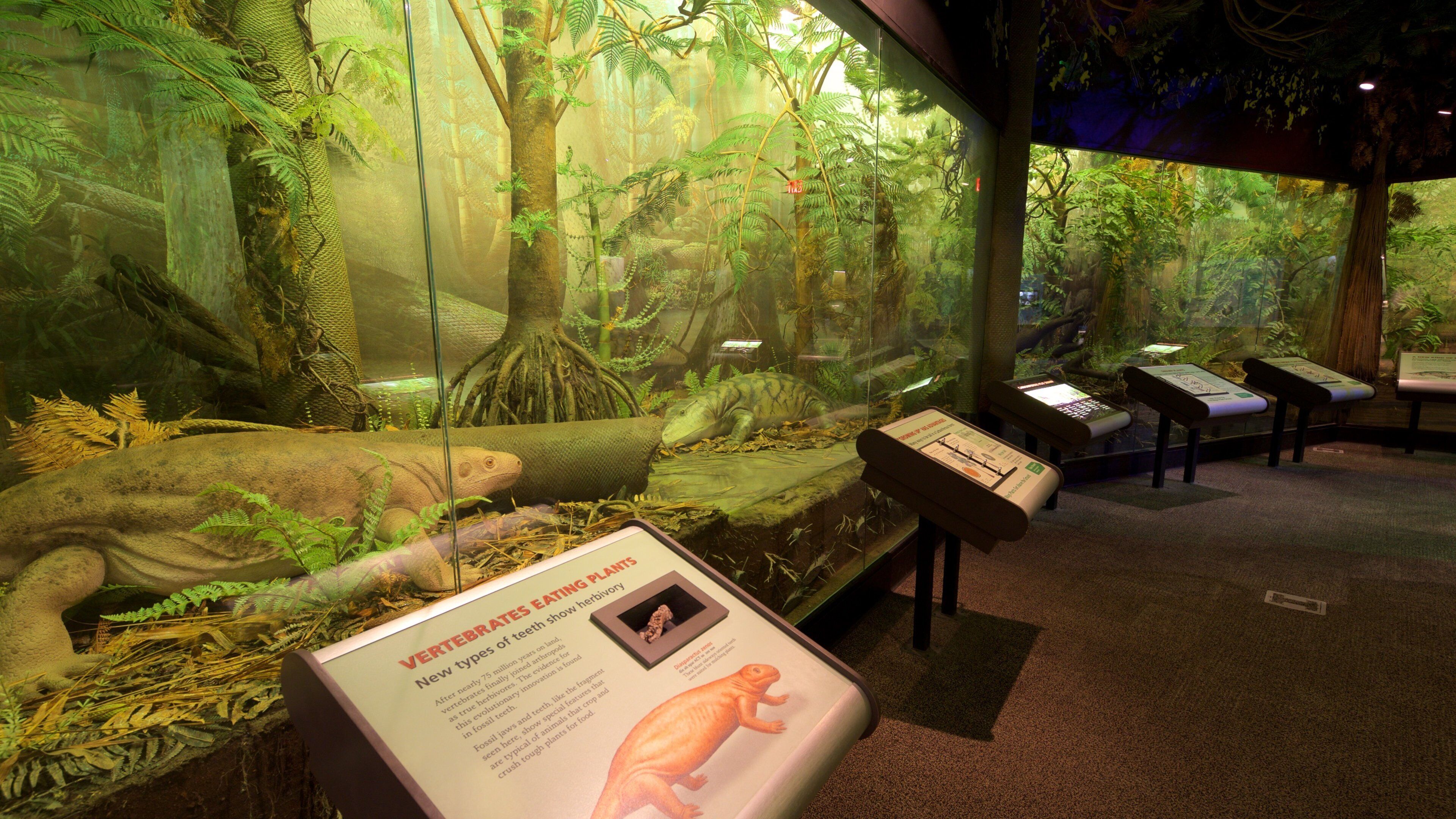 Sam Noble Oklahoma Museum of Natural History showing interior views and signage