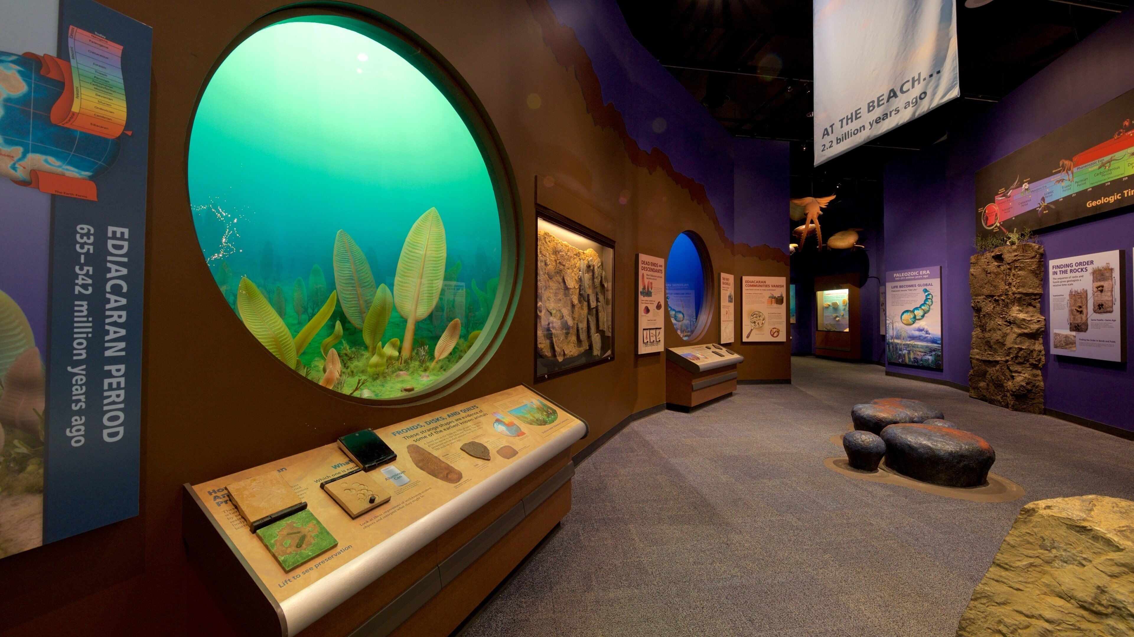 Exposição com grande vitrine circular de vida marinha pré-histórica, painéis informativos e formações rochosas.