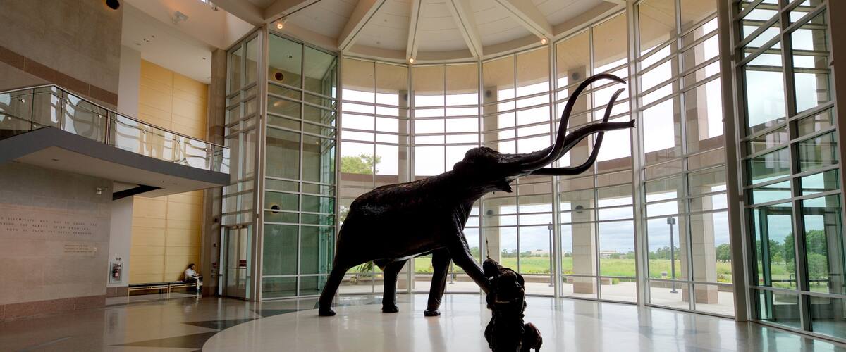 Sam Noble Oklahoma Museum of Natural History which includes a statue or sculpture and interior views