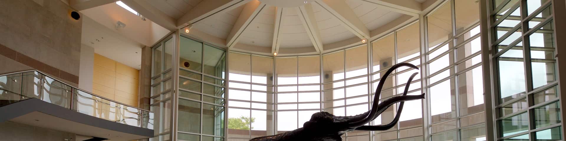 Sam Noble Oklahoma Museum of Natural History which includes a statue or sculpture and interior views