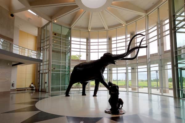 Sam Noble Oklahoma Museum of Natural History which includes a statue or sculpture and interior views