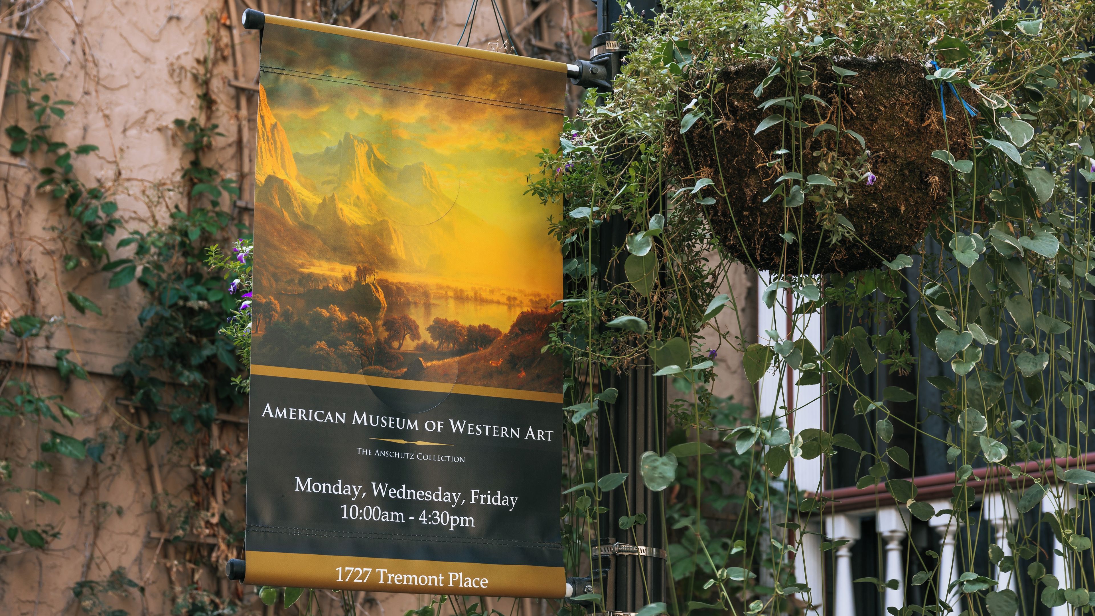 Museum Seni Barat Amerika