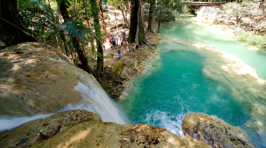 Cascadas de Roberto Barrios featuring a waterfall and a river or creek