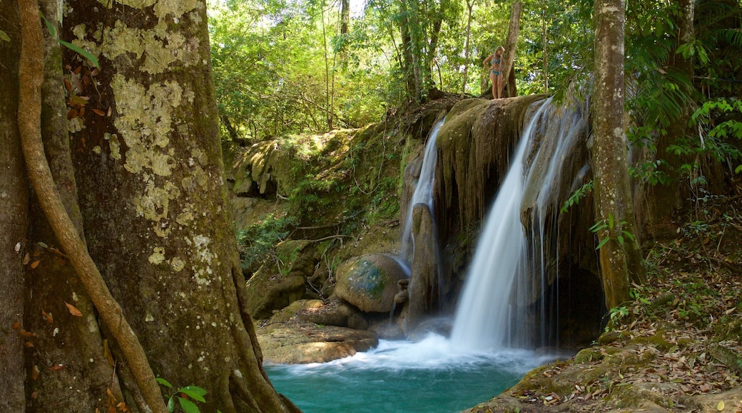 Cascada de Roberto Barrios og byder på en flod eller et vandløb og et vandfald såvel som en kvinde